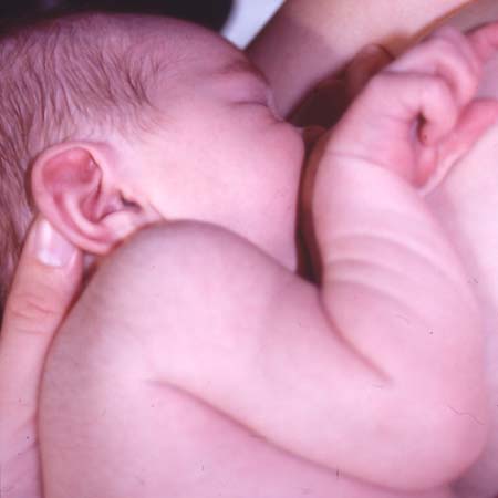 babyweb